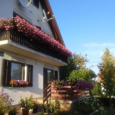 Guest House Adrijana Seliste Dreznicko Exterior photo