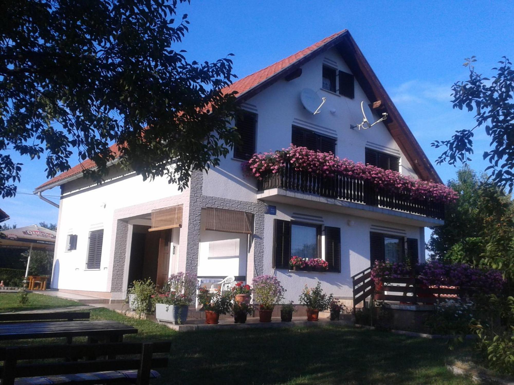 Guest House Adrijana Seliste Dreznicko Exterior photo