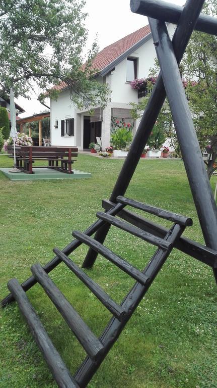 Guest House Adrijana Seliste Dreznicko Exterior photo