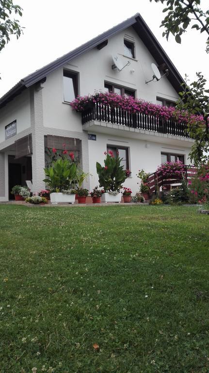 Guest House Adrijana Seliste Dreznicko Exterior photo