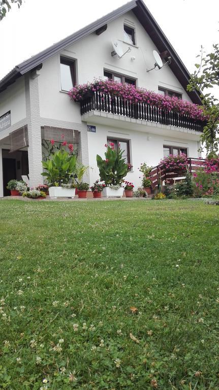 Guest House Adrijana Seliste Dreznicko Exterior photo