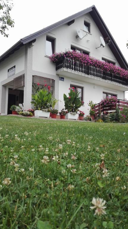 Guest House Adrijana Seliste Dreznicko Exterior photo