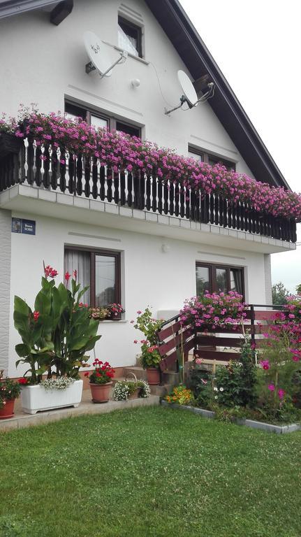 Guest House Adrijana Seliste Dreznicko Exterior photo