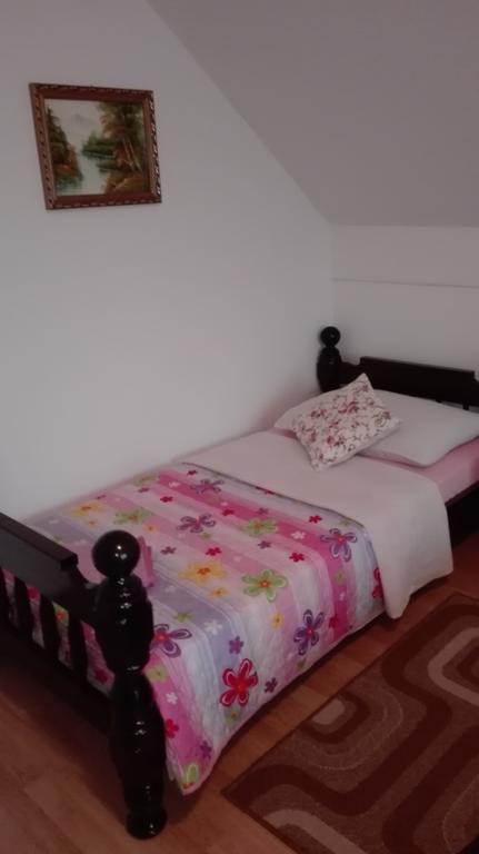Guest House Adrijana Seliste Dreznicko Exterior photo