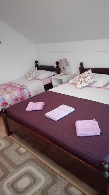 Guest House Adrijana Seliste Dreznicko Exterior photo
