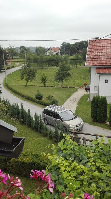 Guest House Adrijana Seliste Dreznicko Exterior photo