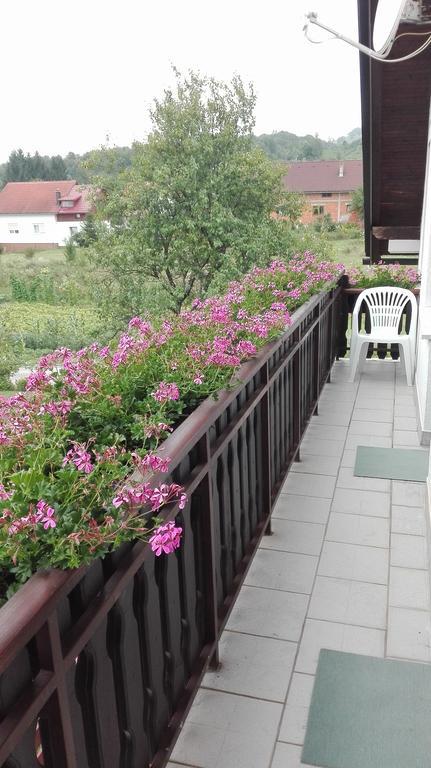 Guest House Adrijana Seliste Dreznicko Exterior photo