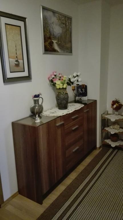 Guest House Adrijana Seliste Dreznicko Exterior photo