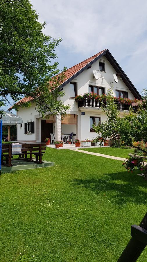 Guest House Adrijana Seliste Dreznicko Exterior photo