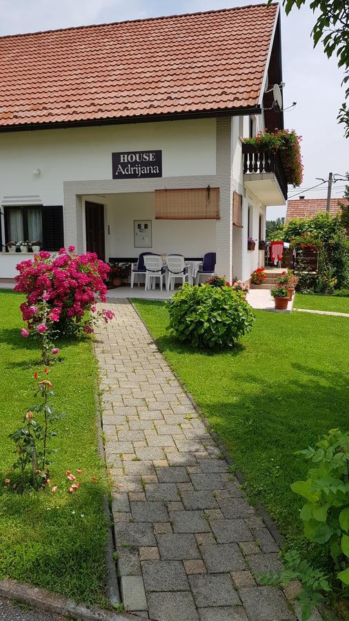 Guest House Adrijana Seliste Dreznicko Exterior photo